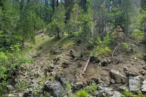 Coffee Creek Campground and RV Park