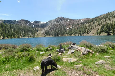 Coffee Creek Campground and RV Park