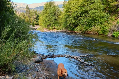 Coffee Creek Campground and RV Park