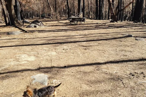 Coffee Creek Campground and RV Park