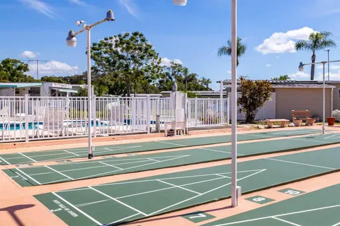 Palm Terrace