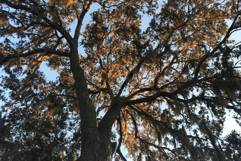Southern Charm RV Resort