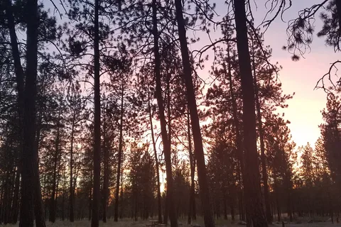 Lake Spokane - Riverside State Park