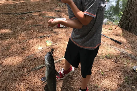 My Favorite Campground