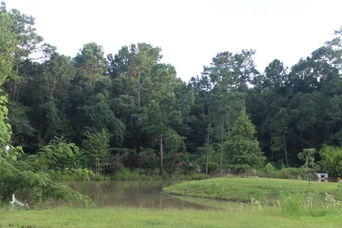 Ladson RV Park