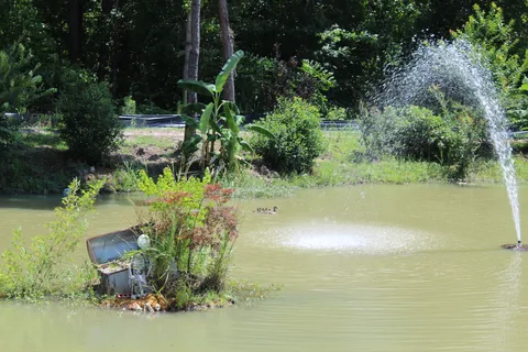 Ladson RV Park