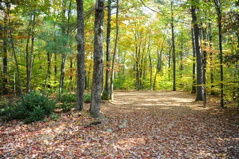 Lake Forest RV Resort