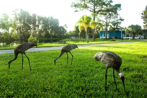 Crystal Lake RV Park
