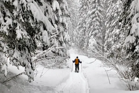 Touchet Corral Sno-Park - Department of Natural Resources