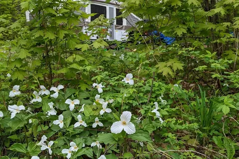 Grundy Lake Provincial Park Main Entrance