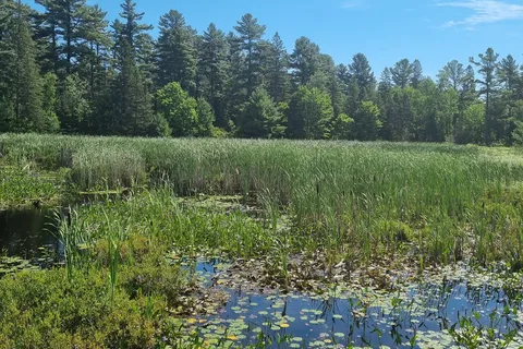 Grundy Lake Provincial Park Main Entrance