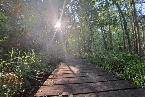 Barnwell State Park