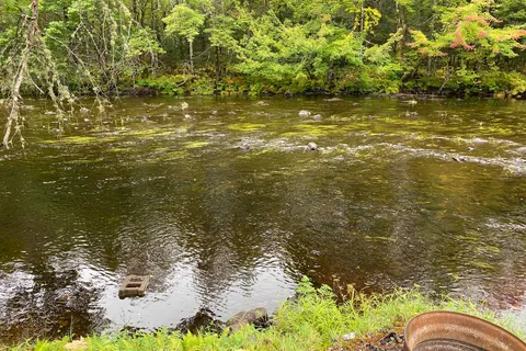 Lahave River Campground