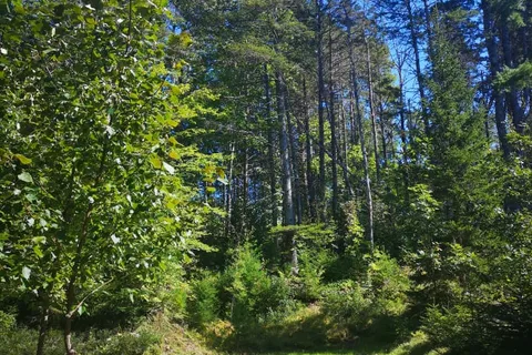 Lahave River Campground