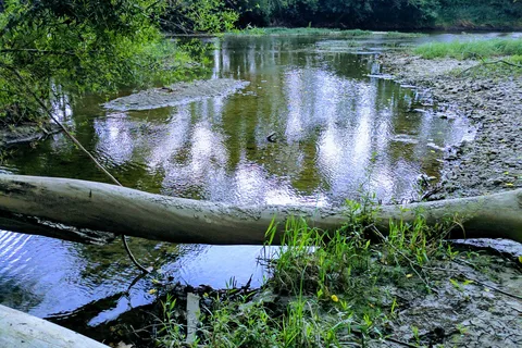 Marbrook Campground