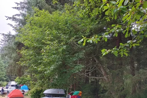 Village Camper Inn