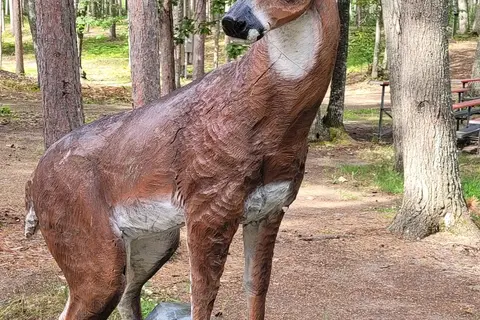 Sand Point - Ojibwa Recreation Area