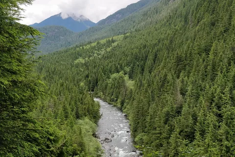 Parc provincial Golden Ears