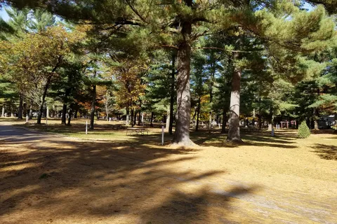 Evergreen Campsites and Resort