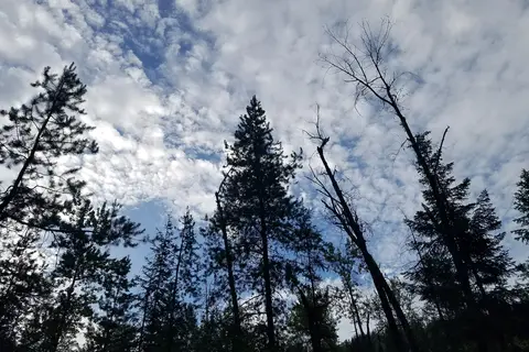Sheep Creek - Department of Natural Resources