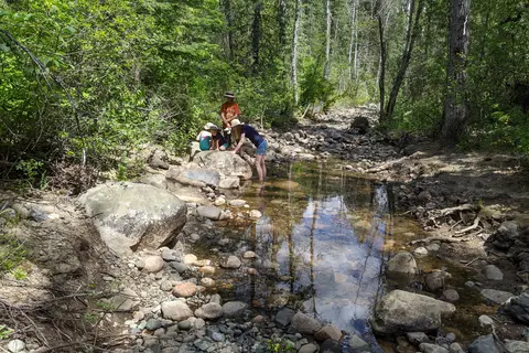 Sheep Creek - Department of Natural Resources