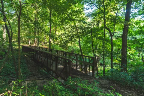Beall Woods State Park
