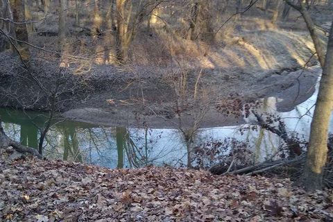 Beall Woods State Park