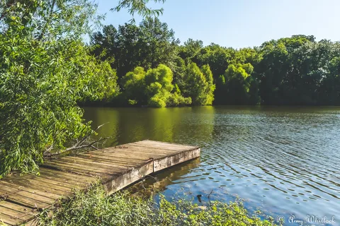 Beall Woods State Park