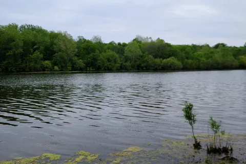 Beall Woods State Park
