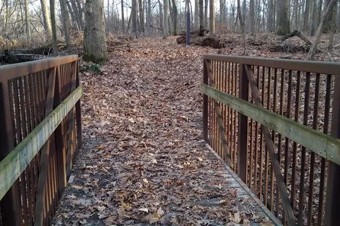 Beall Woods State Park