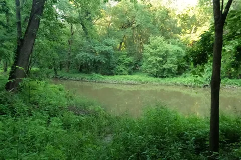 Beall Woods State Park