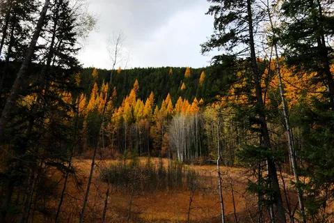 Moyie Lake Provincial Park