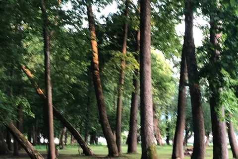Five River Campgrounds