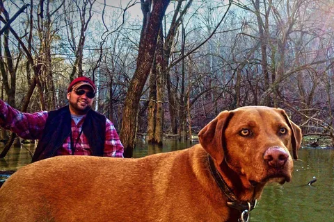 Taylorsville Lake State Park