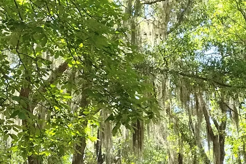 Tuck In the Wood Campgrounds