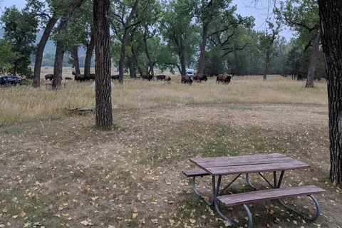 Cottonwood Campground - Theodore Roosevelt National Park