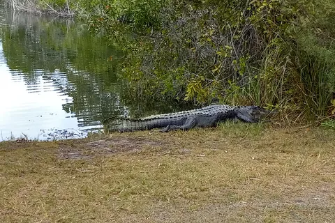 Long Pine Key - Everglades National Park
