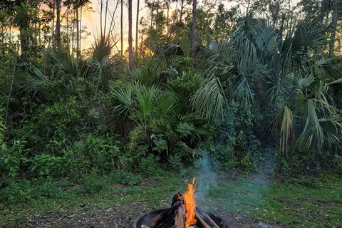 Long Pine Key - Everglades National Park