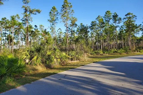 Long Pine Key - Everglades National Park