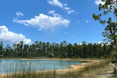 Long Pine Key - Everglades National Park