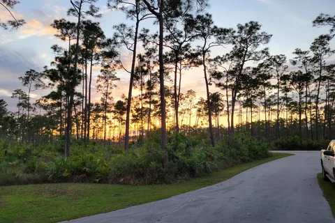 Long Pine Key - Everglades National Park