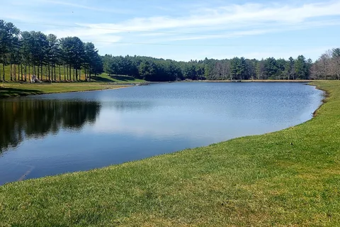 Raccoon Holler Campground
