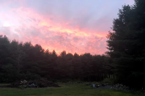 Raccoon Holler Campground