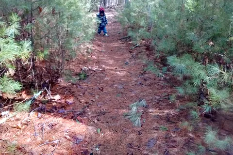 Raccoon Holler Campground
