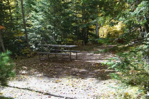 Arbor Vitae Campground