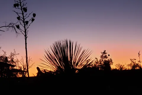 Pancho Villa State Park