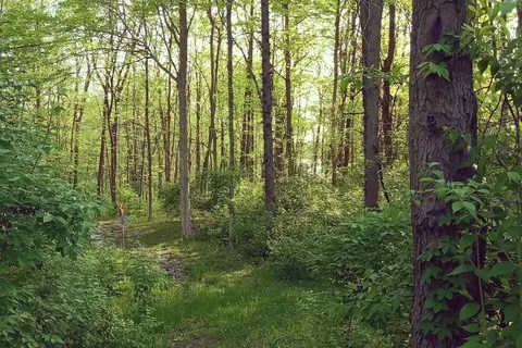 Alum Creek State Park