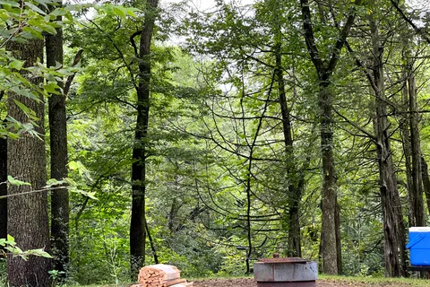 Minneiska - Whitewater State Park