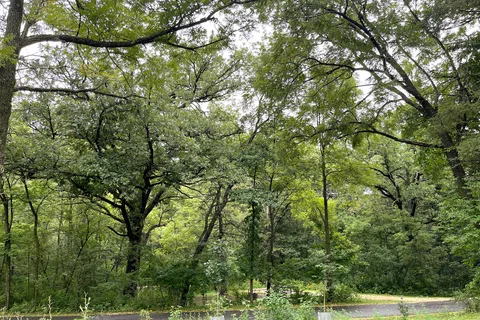 Minneiska - Whitewater State Park