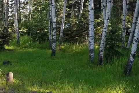 Chitek Lake Provincial Rec Site